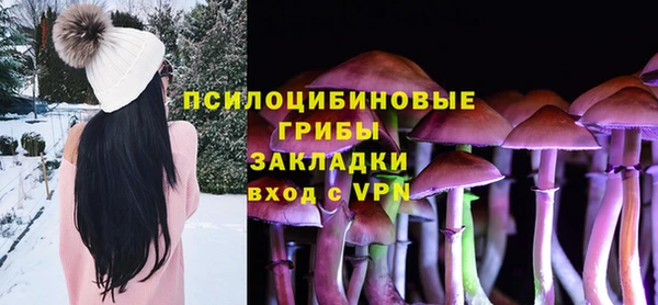 спиды Бугульма