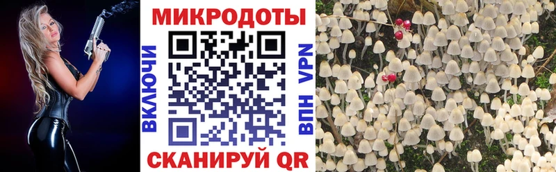 как найти   Медногорск  сайты даркнета какой сайт  Галлюциногенные грибы Psilocybe 